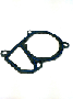 Engine Coolant Thermostat Gasket